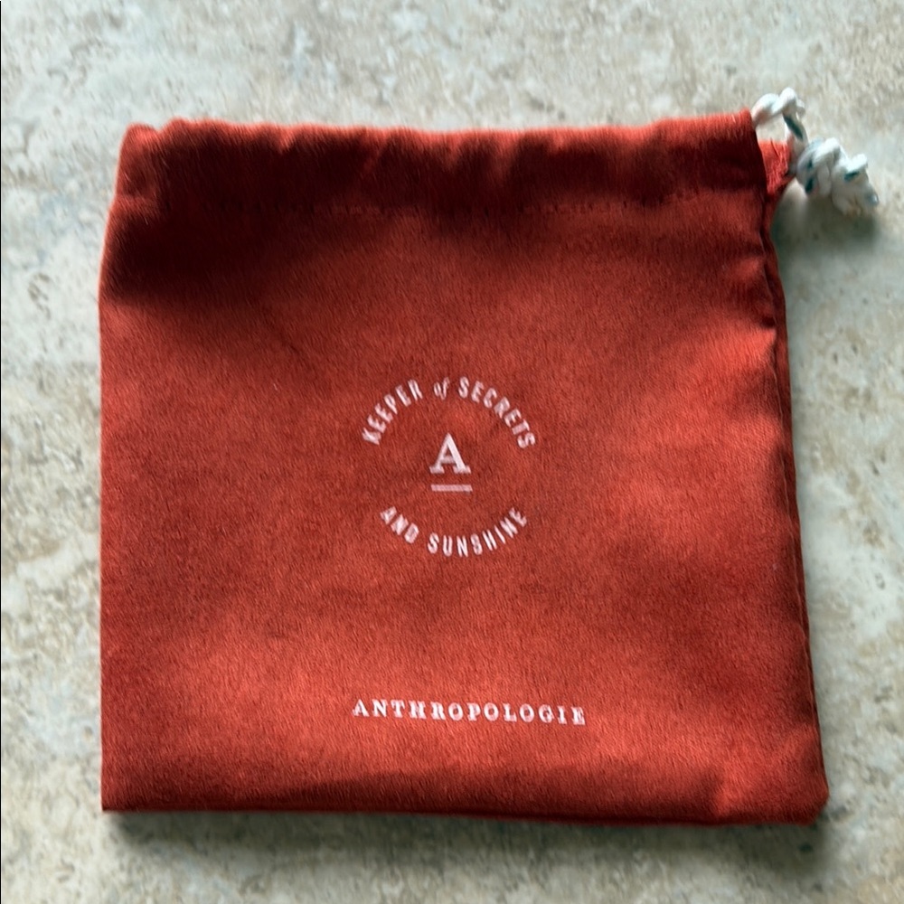 Anthropologie Rust Velvet Pouch